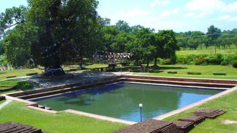 Pushkarini Pond Lumbini